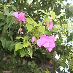 Samson΄s Village 4* Περίσσα
